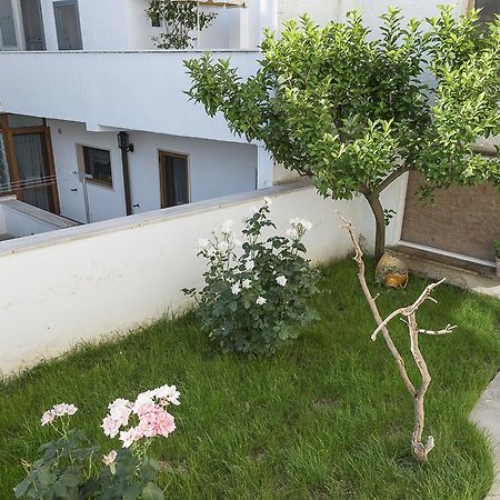 A Due Passi Dal Centro Bed & Breakfast Алберобело Екстериор снимка